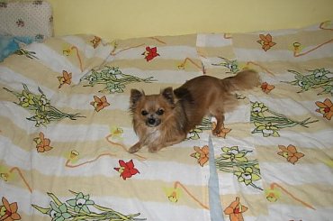 Sesja zdjęciowa Rudolfa #Rudolf