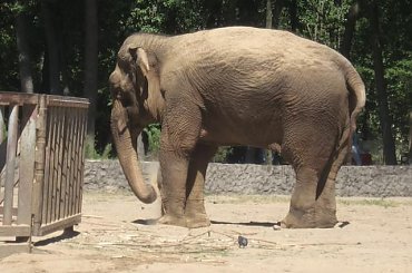 #zoo