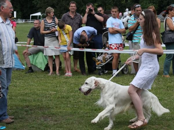 34 Krajowa Wystawa Psów w Ustroniu