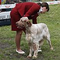 34 Krajowa Wystawa Psów w Ustroniu