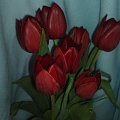 Meine_Tulpen25.04.08