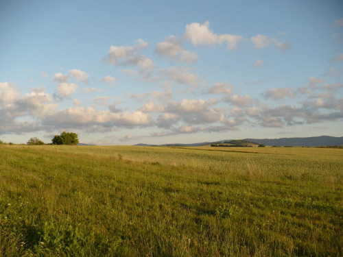Lato w Sudetach - Przedgórze Paczkowskie , okolice Nysy