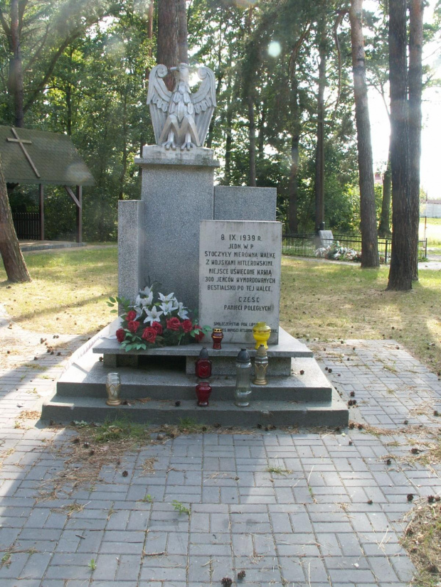 Cipielów 2008