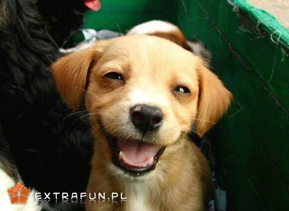 www.extrafun.pl #extrafun