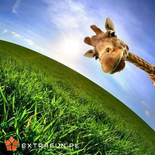 www.extrafun.pl #extrafun