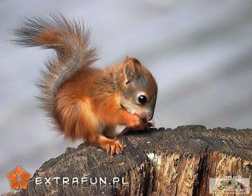 www.extrafun.pl #extrafun