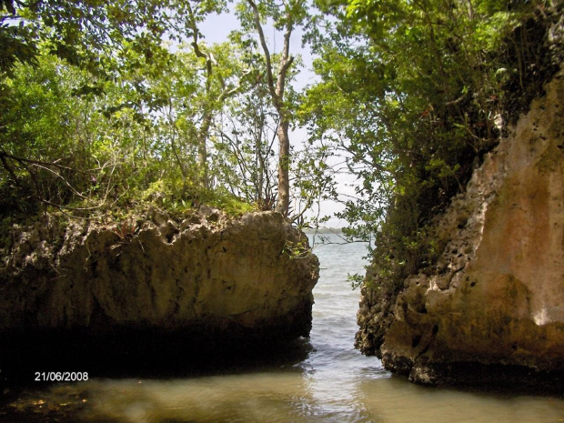 Los Haitises - przy jaskini Linea