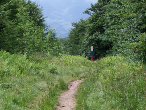 #bieszczady