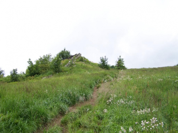 #bieszczady