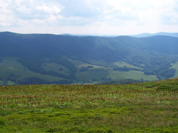 #bieszczady