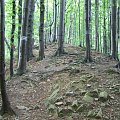 #bieszczady