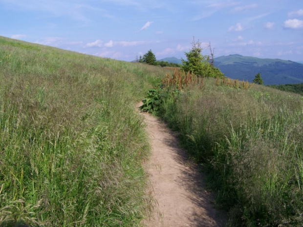 #bieszczady