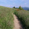 #bieszczady