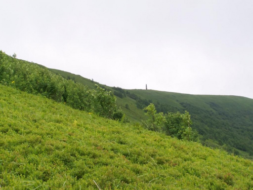 #bieszczady