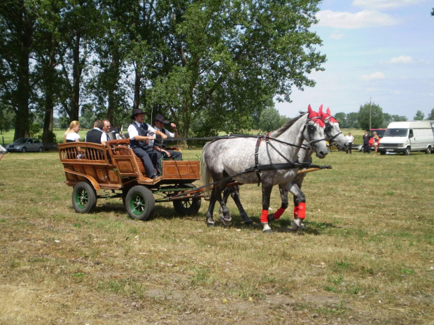 Wystawa w Pudliszkach .