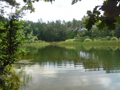 Mały akwen na Kuźniczkach dzielnicy miasta Kędzierzyn Koźle #JezioroKuźniczka