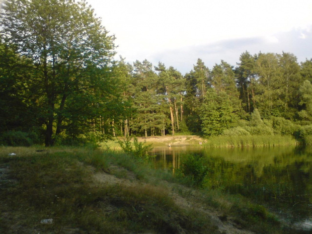 Mały akwen na Kuźniczkach dzielnicy miasta Kędzierzyn Koźle #JezioroKuźniczka