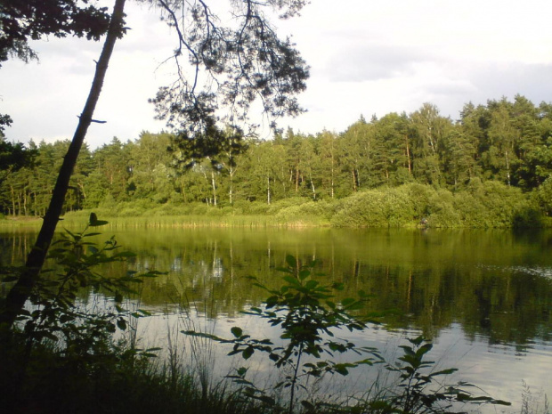 Mały akwen na Kuźniczkach dzielnicy miasta Kędzierzyn Koźle #JezioroKuźniczka