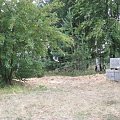 fundamenty wrzesien 07 #PrzedWycieciemDrzew2