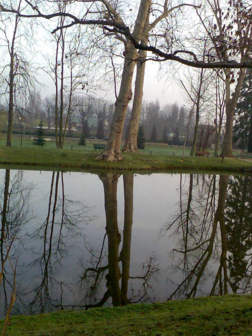 Przepiekny park w moich okolicach #Poissy #Francja #park #staw