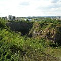 Rezerwat skalny "Ślichowice" im. Jana Czarnockiego, Kielce #skały #skała #rezerwat #przyroda #zieleń