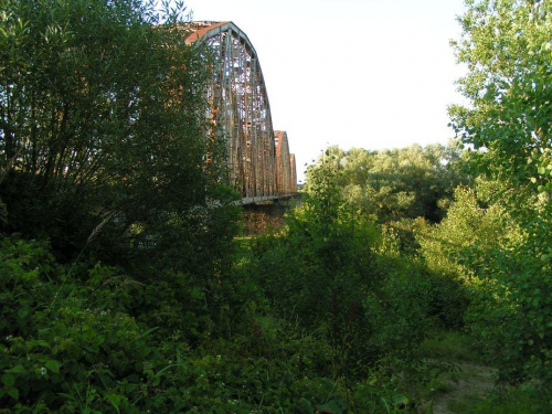 Fronołów 19 i 20 lipiec 2008