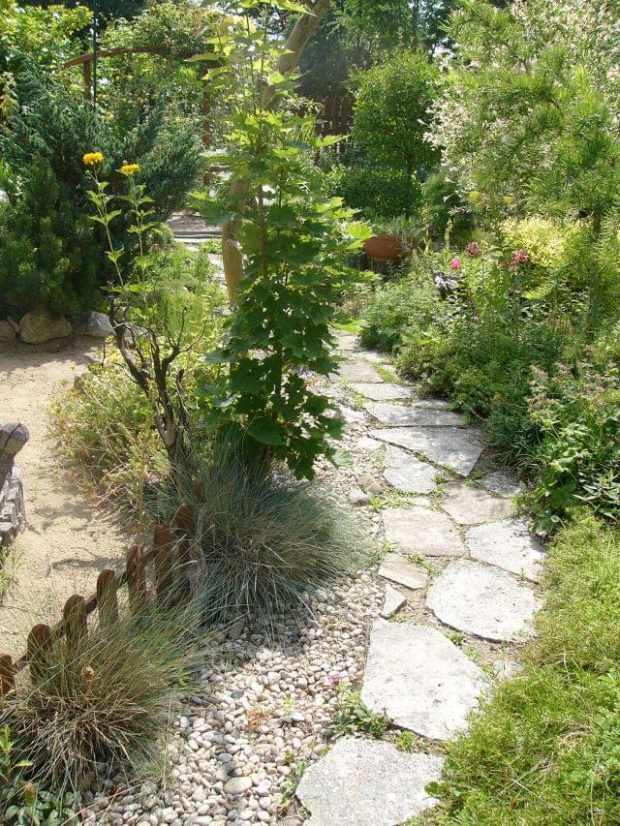 ścieżka ogrodowa #ogród #kamienie
