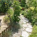 ścieżka ogrodowa #ogród #kamienie