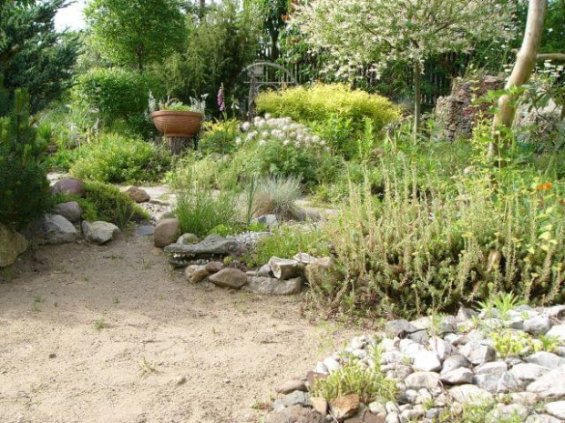 fragment ogrodu #ogród #rośliny