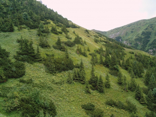 szlak na Przełęcz pod Kopą #Tatry #góry