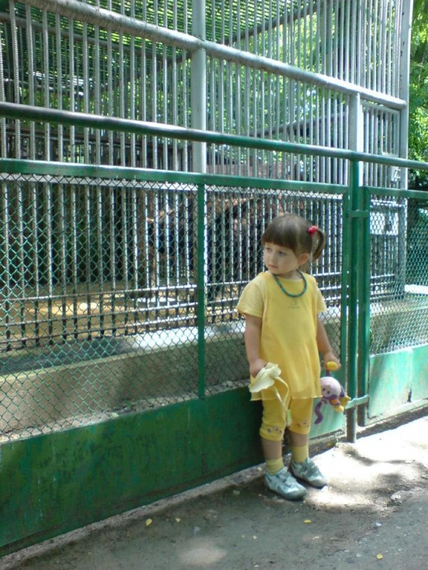 Zoo