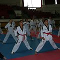 #taekwondo #tkd #olsztyn