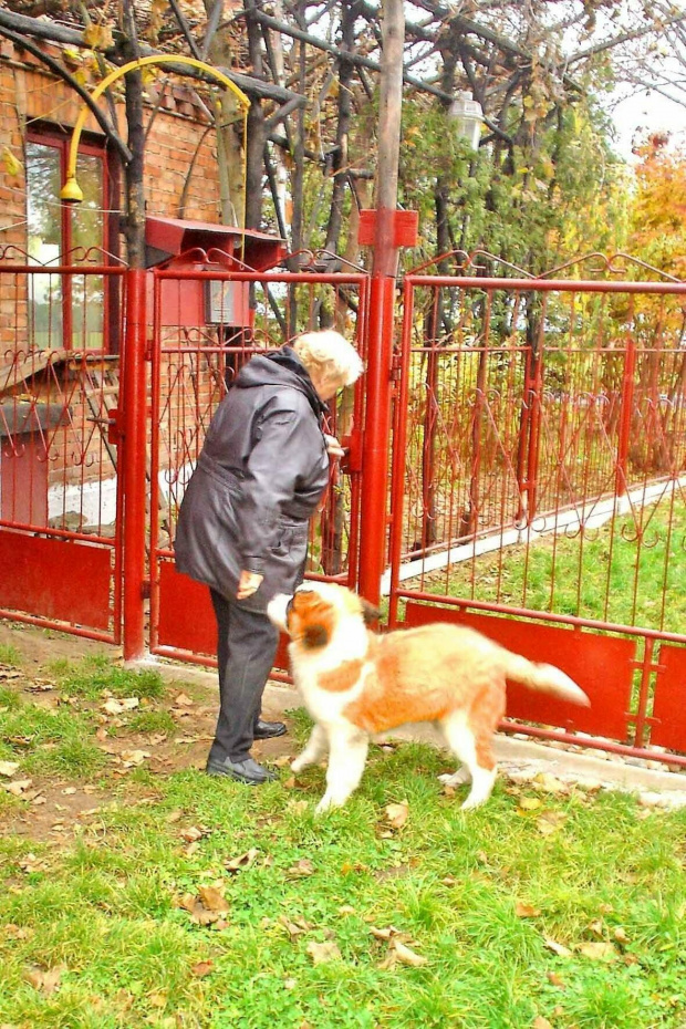 Ciotką Jadzią się pobawię... a co!