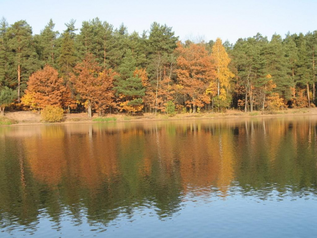 zalew Rejów jesienią