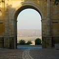 Carmona