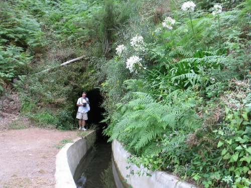 Lewada dos Tornos w pobliżu Funchal