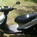 Yamaha Rex