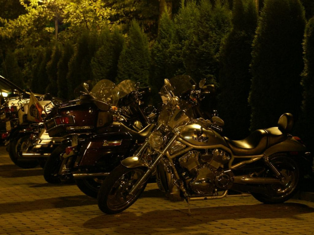 #Zlot #Harley #HarleyDavidson #GrupaGalicja #Rożnów #Kraków