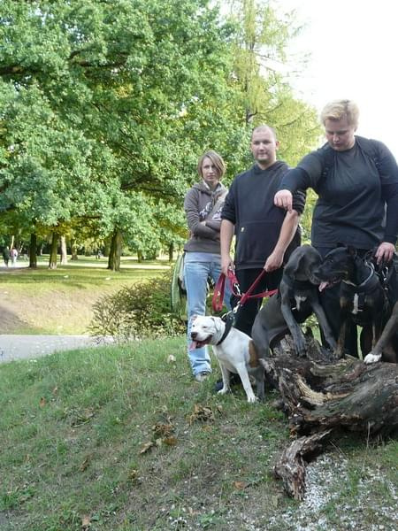 cytadela 17 sierpień 2008