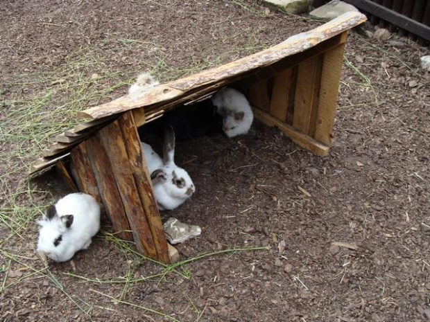 Nasze wszystkie dzieci i wnuki w łódzkim zoo