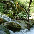 PLITVICE #PARKI #JEZIORA #WODOSPADY