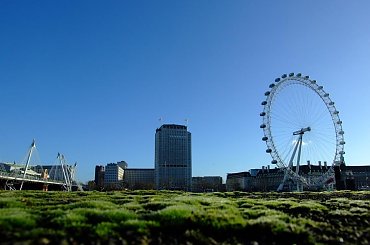 London Eye #LondonEye #Londyn