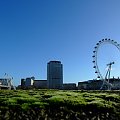 London Eye #LondonEye #Londyn
