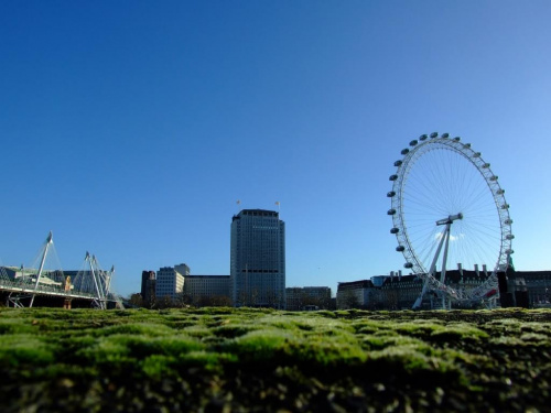 London Eye #LondonEye #Londyn