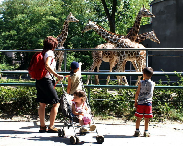 zaprosiłem 3 dzieci i mamę-ciocię do ZOO ale była sjesta zwierzęca i mało było szalonych zwierząt widać :) #ZOO