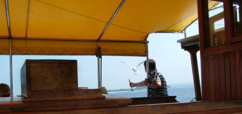 #mewa #statek #karmienie #widoczek #panorama #chorwacja #ryba
