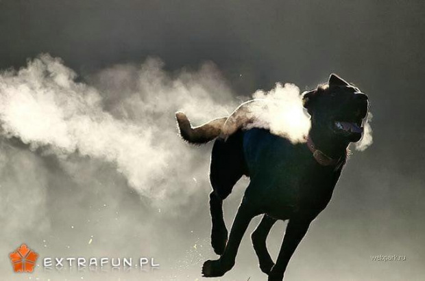 www.extrafun.pl #extrafun