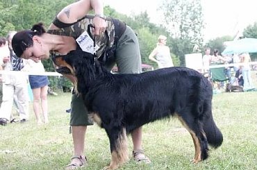 CIRYS znad Rzeki Maskawy CACIB Kraków #Beza #CIRYSZnadRzekiMaskawy #Hovawart