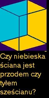 złudzenia