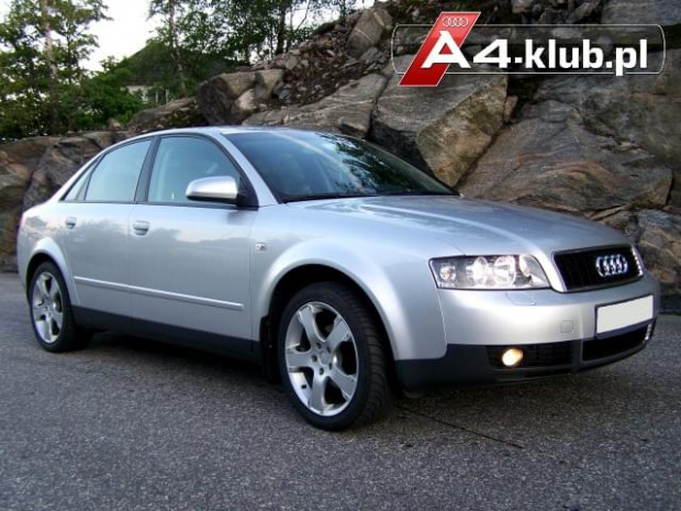 #AUDIA4kubek792